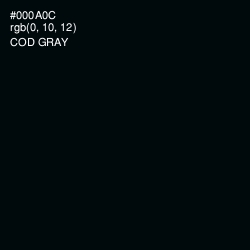 #000A0C - Cod Gray Color Image